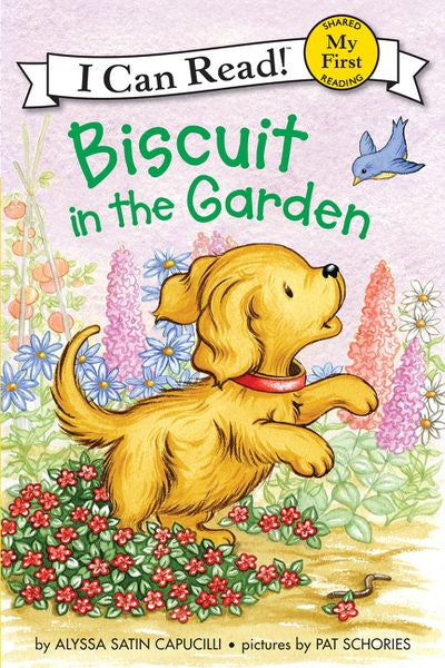 Biscuit in the Garden