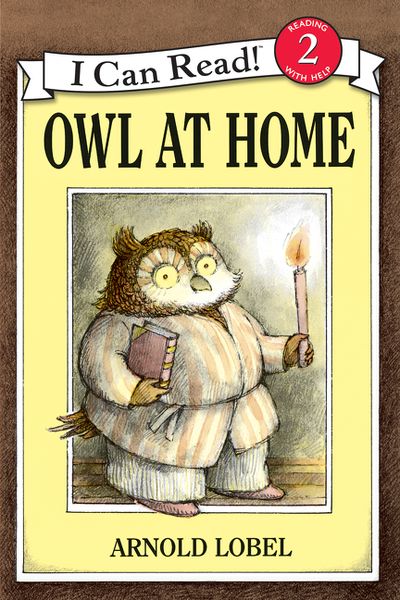 Owl at Home