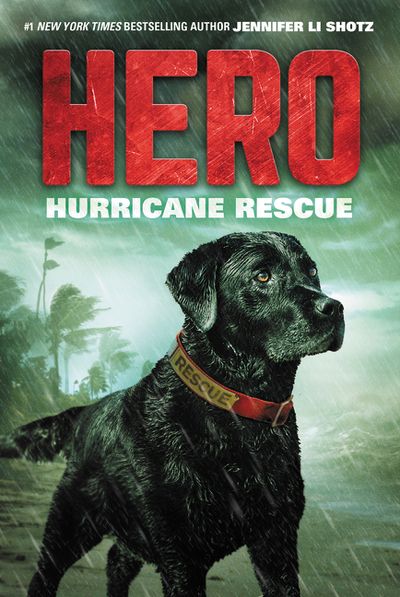 Hero: Hurricane Rescue