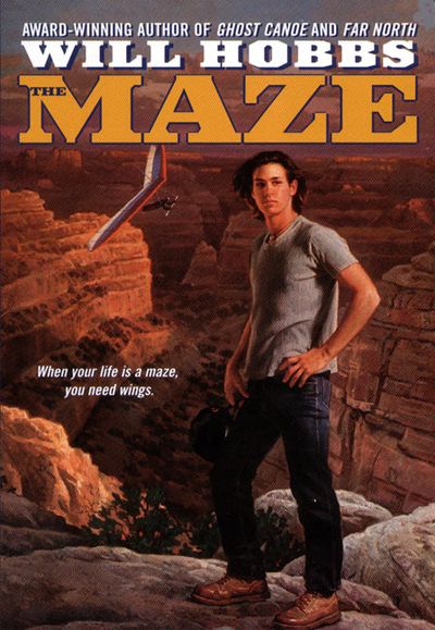 The Maze