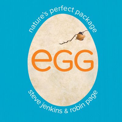 Egg: Nature's Perfect Package