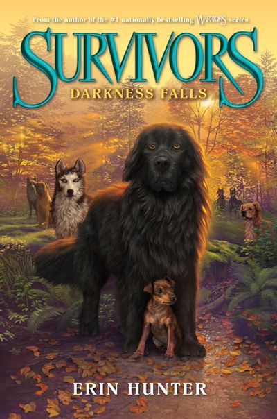 Survivors #3: Darkness Falls