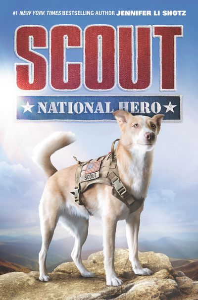 Scout: National Hero