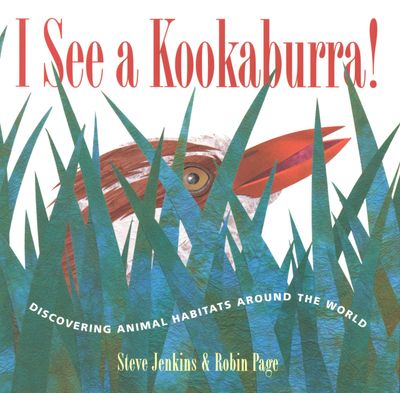 I See a Kookaburra!