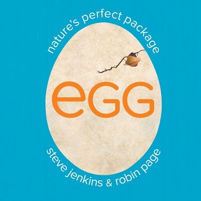 Egg: Nature's Perfect Package