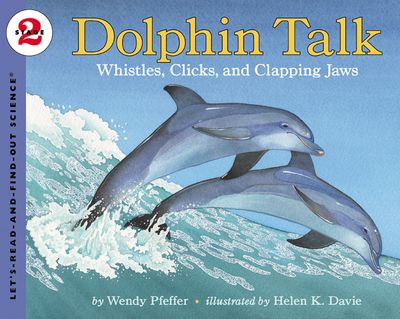 Dolphin Talk