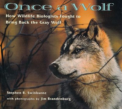 Once a Wolf