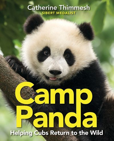 Camp Panda