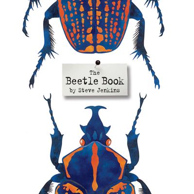 The Beetle Book