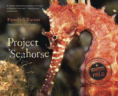 Project Seahorse