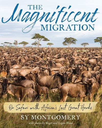 The Magnificent Migration